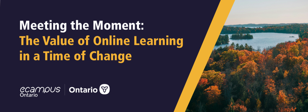 Meeting the Moment: The Value of Online Learning in a Time of Change