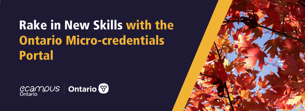 Micro-credentials Portal