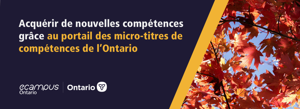 Entrez votre titre de poste pour explorer des programmes de formation rapide qui peuvent vous aider à développer les compétences recherchées par les employeurs.